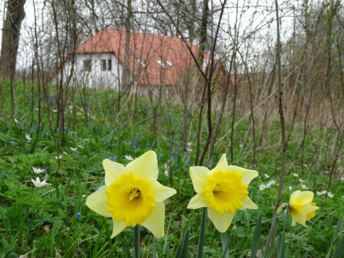 Poza Zgielkiem Villa Węgorzewo Eksteriør bilde